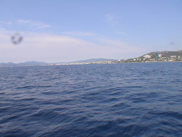 Original image
