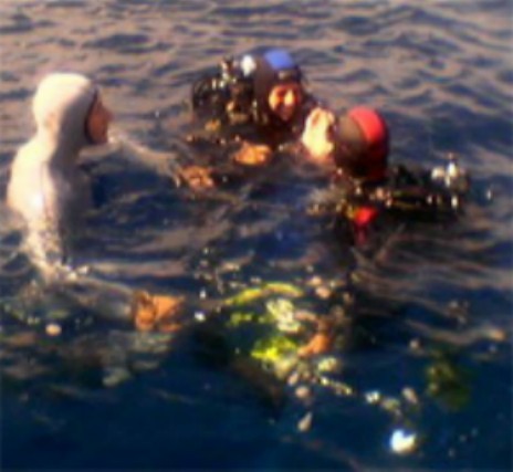 Original image