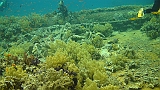 DSC00968