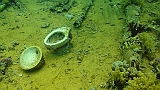 DSC00976