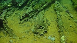 DSC00977