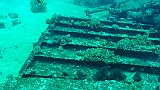 DSC00980